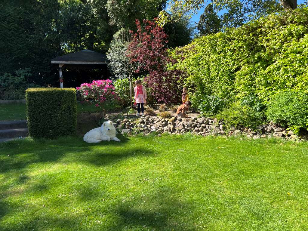 Overzicht Tuin